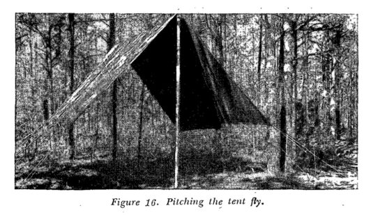 black and white printed photo of a canvas shade on a backdrop of trees